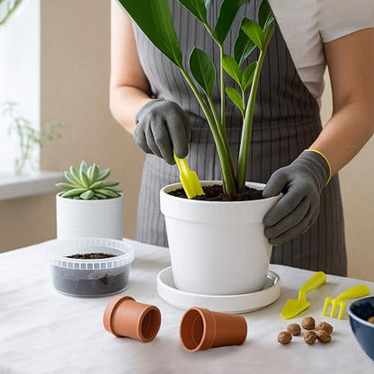 D'vine Dev Ceramic Plant Saucer/Drainage Tray, 7.1 in, White, 97-T-A-3 - color: White, size: 7.1" (1 Pack)