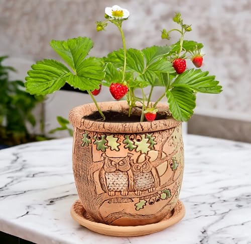 STP GOODS Ceramic Pot with Drainage Hole and Saucer, Plant Pots, Modern Decorative Planters for House Plants Indoor Flowers Plants, Cute Flower Pot - Gifts (Owls (1.6 L)) - color: Owls (1.6 L)