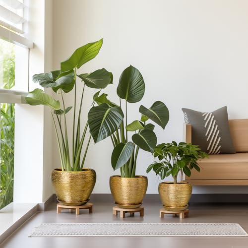 Flower Pots for Indoor & Outdoor Plants - Ceramic Pots 10 Inch, 8 Inch, 6 Inch with Drainage Holes, Saucers - Decorative Large Planters Set of 3 Gold - color: Gold