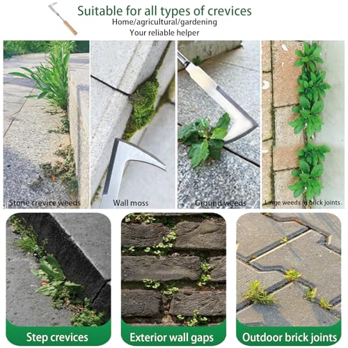 Weed Puller Tool,Crack Weeder Tool, Stainless Steel Crevice Weeding Digger Tool, Paving Brick Moss Removal,6 Teethes Dual Purpose Hand Weeder Tool for Yard Garden, Lawn Edger and Driveway(3 Pcs)