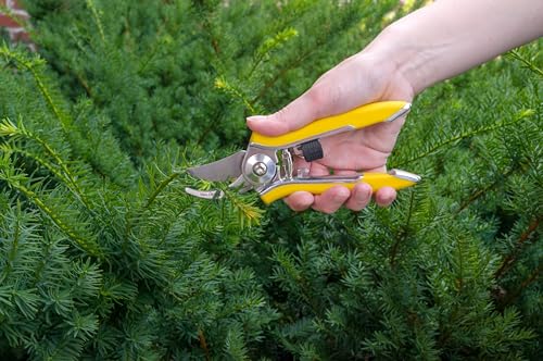 Dramm ColorPoint Stainless Steel Compact Garden Pruning Shears, Hand Pruner, Garden Clippers, with Heavy Duty Blade and Easy grip Handle, Berry - color: Berry, style: Classic