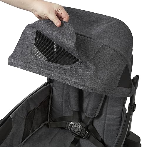 Radio Flyer Voya Stroller Wagon, for Toddlers and Kids 6+ Months, 2 Seats - size: 1.0