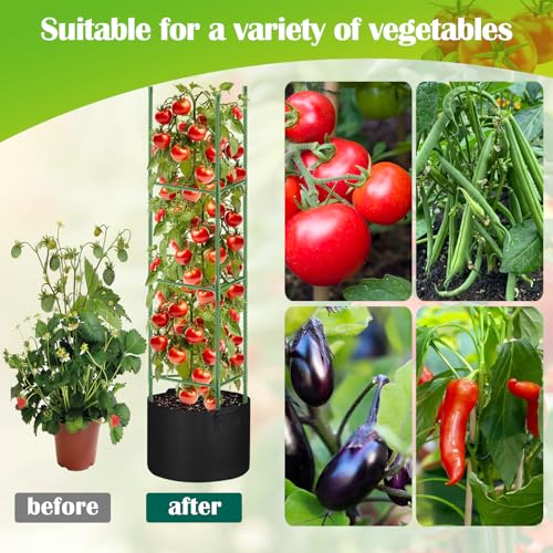 4 Pack Tomato Cages 55 x 12 Inch for Garden with 11 Gallon Round Planter