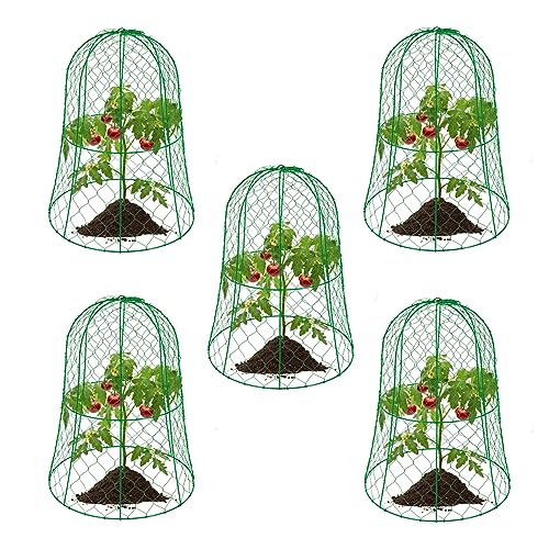 DouSeiAi 5 Packs Garden Chicken Wire Cloche, 13''×15.7'' Garden Plant Cages to Keep Animals Out, for Fruit Vegetable Flower Potted Plant, Green - color: Green, size: 5 Pcs
