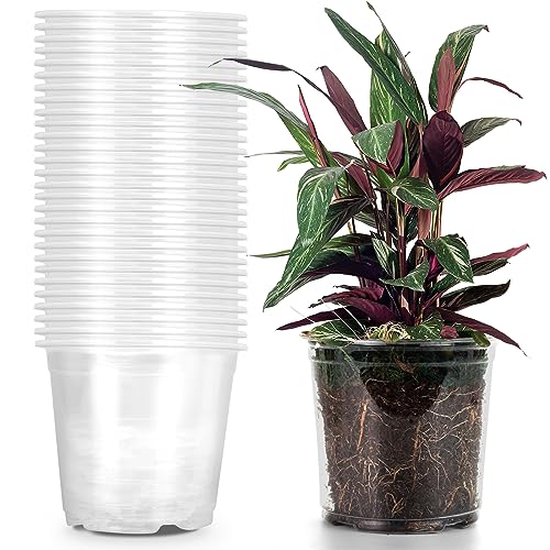 RAOOKIF 30 Pack 1 Gallon Pots with Drainage Holes, 7 Inch Clear Nursery pots, 1 Gallon Plastic Plant Pots for Seedlings, Clear Seed Starters, and Flower Planting - size: 7 Inch
