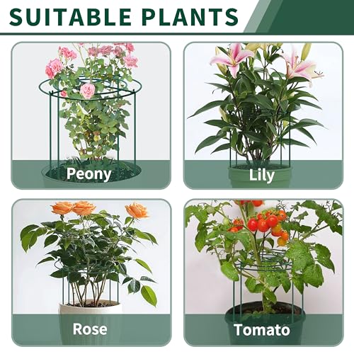 4pack Peony Cages and Supports, 18 x 24 Inch Four Legs Peony Cage, Heavy-Duty Peonies Support Cages, Peony Ring for Roses, Hydrangeas, Sage, Peonies, Cucumbers, Tomato - size: 18"X24"