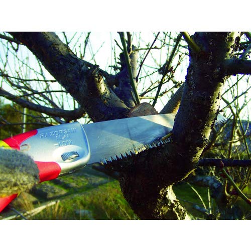 SELECT Saw 200 Tree 154