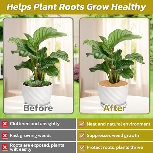 Legigo 4 Pack Coconut Fiber Mulch Ring Tree Plant Protector Mat, 11.8 Inch - color: 4 Pack, size: 11.8 Inch