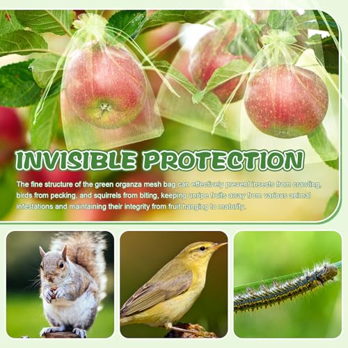 SATINIOR 160 Pcs Multi‑Size Fruit Protection Bags Green Netting Bags