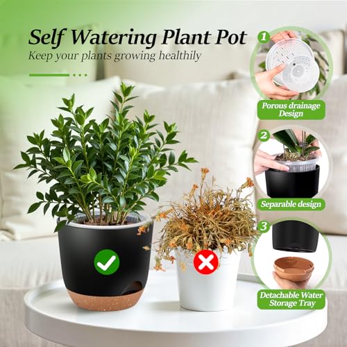 Self Watering Orchid Pots for Indoor Plants,5.8 Inch Macetas para Orqudeas,Flower Pots for Indoor Plants with Holes(Black) - color: Black, size: 2Pc 5.7IN