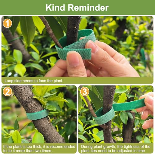 SumDirect Plant Tape 75 ft Plant Ties for Climbing Plants Garden Twist Ties Plants Adjustable Green Garden Tape for Plants, Flowers, Vines and Tree (75 ft x 1/2 in) - size: 75 ft x 1/2 in