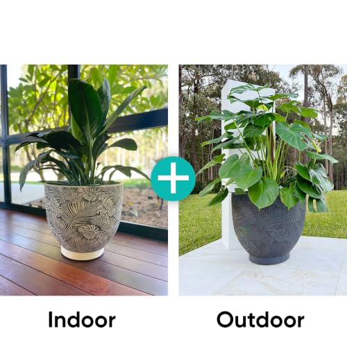Omnia Plant Glider: Plant Caddy - 11.8In, 200lb Capacity - Off-White
