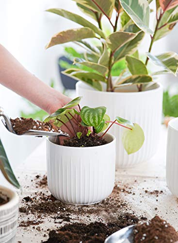 LE TAUCI Ceramic Planters, 8.3/7/6 Inch Indoor Pots for Plants with Drainage Holes & Mesh, Modern Matte Glaze Cylinder Fluted Plant Pot for Snake Plant, Set of 3, White - color: White