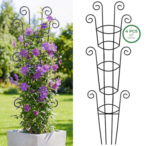 4 Pack 43 Inch Metal Plant Trellis for Climbing Plants - Rustproof Garden Trellis for Large Potted Houseplants, Sturdy Plant Support Indoor Outdoor for Monstera & Vines, Home Decor - size: 43" | Stage for Mature Vines