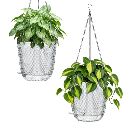QCQHDU Small Hanging Planters for Indoor Outdoor Plants,Self Watering Flower Pots Hanging Basket Plant Hanger 5.7 Inch with Drainage Holes and 3 Hooks for Window Porch Garden Balcony, (Clear) 2 Pack - color: Clear, size: 5.7"+5.7"
