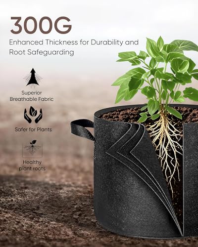 The Growing 5 Pack 3 Gallon Fabric Grow Bags，Thickened Aeration Nonwoven Fabric Plant Pots with Durable Handles,Heavy Duty 300G Planter Pot for Tomato, Fruits, Vegetables and Flowers, Black