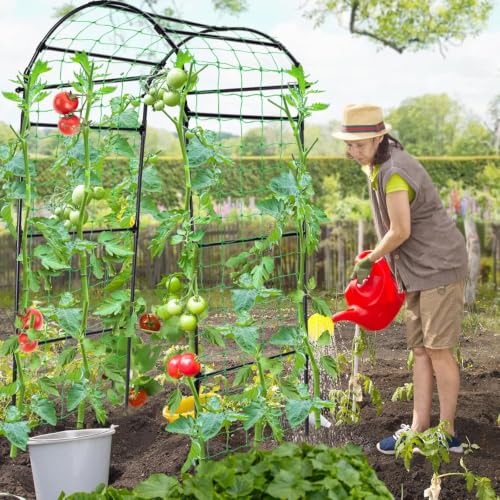 Garden Arch Cucumber Trellis for Climbing Plants 6.7ft Black - size: 78.7 x 31.5 x 31.5 in, Arch, Black