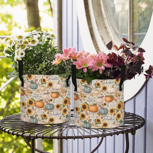 3 Gallon Grow Bags 1 Pack Plant Fabric Pots Flower Nursery Garden Vegetable Small Plant Pot 9.7 x 9.8 in Large Indoor Planter with Handles Beige Pumpkin Sunflower Autumn Classic - color: Beige Pumpkin Sunflower Autumn Classic, size: S9.7x9.8in