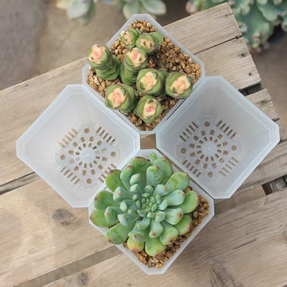 120 Pack 2.70 Inch Clear Plastic Square Nursery Pot