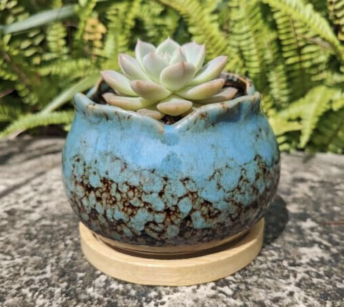 Cute 4" Round Ceramic Home Garden Decoration Succulent Cactus Flower Pots Container -Plant Not Included，Blue - color: Blue
