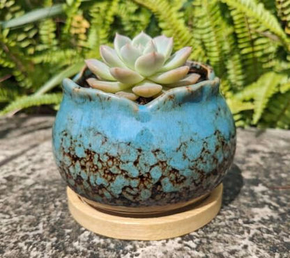 Cute 4" Round Ceramic Home Garden Decoration Succulent Cactus Flower Pots Container -Plant Not Included，Blue - color: Blue
