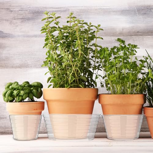 Hoolerry 15 Pcs Plastic Plant Saucer Clear Deep Tray, 4, 6, 8 Inch - size: 4, 6, 8 Inch