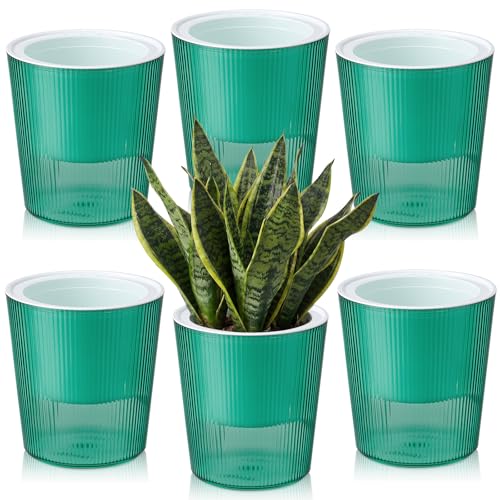 6 Pack Self Watering Pots for Indoor Plants Plastic Vertical Ribbed Semi Transparent Planters, Dual Layer Reservoir for Indoor Succulents Herbs Pothos(Green, White,4 x 4.3 Inch) - color: Green, White, size: 4 x 4.3 Inch