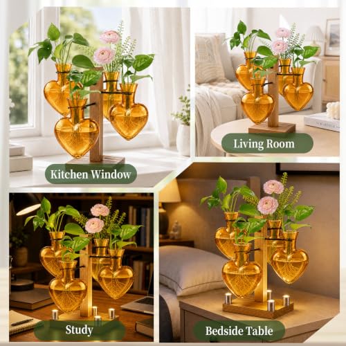 Plant Terrarium Propagation Station with 4 Heart Glass Vases - Amber - color: Amber