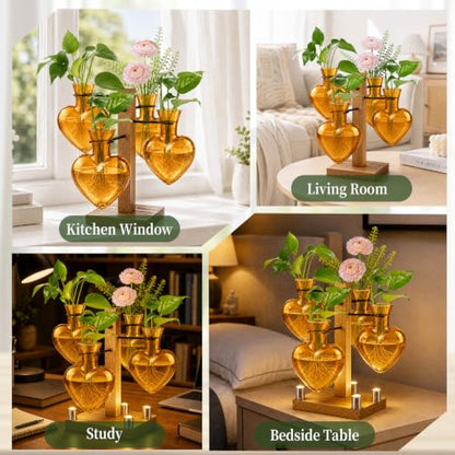 Plant Terrarium Propagation Station with 4 Heart Glass Vases - Amber - color: Amber