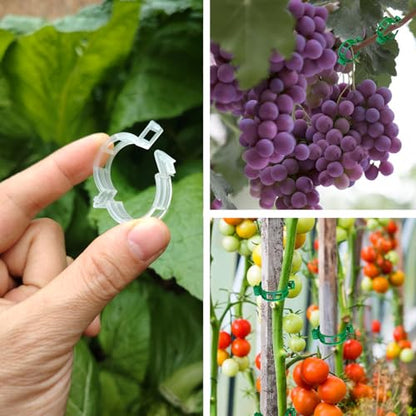 150pcs Plant Support Clips - Tomato Clips for String Trellis, Grape Vine Clips for Garden Netting Climbing Plants, Secured Plastic Plant Clip for Fixing Stem and Vine