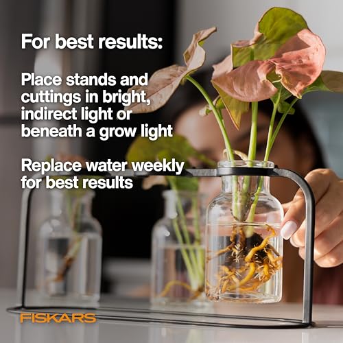 Fiskars Plant Propagation Station, Hydroponic System for Indoor Gardening