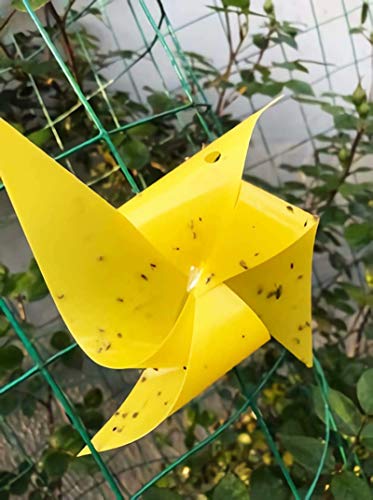 Faicuk Dual Sided Yellow Sticky Traps for Flying Plant Insect, 20 Pack - size: 20 PACK