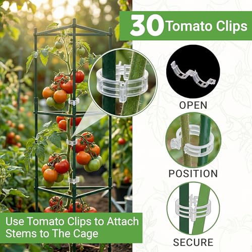 3 Pack 48" Tomato Cages for Garden - Large Tomato Plant Support Trellis - size: 3 Pack, 48 Inches