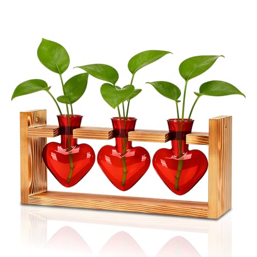 Nacome Plant Terrarium with Wooden Stand, 3 Heart Bulb Glass Vases - color: Red