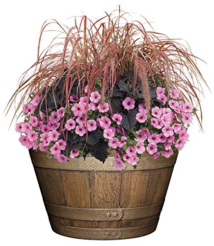 Whiskey Barrel Planter, 20.5", Distressed Oak - size: 20.5", style: 1 Pack