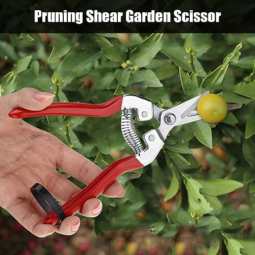 Professional Garden Pruning Shears for Roses and Flowers, Curved Blade Stainless Steel Hand Pruners, Heavy Duty Plant Trimming Scissors for Fruit Harvesting and Flower Arranging