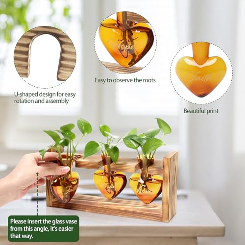 Plant Terrarium Propagation Stations Hydroponics - color: Amber(Faith Hope Love)