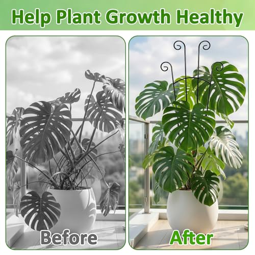 Monstera Plant Support - 4-Pack of 32.6" Tall Plant Trellis Stakes for Large Indoor Vines | Adjustable Dual Pole Frame for Monstera Deliciosa & Potted Plants - size: 4-Pack Plant Support