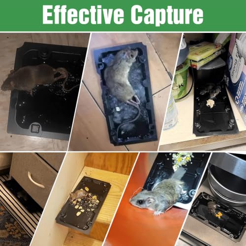 20 Pack Glue Sticky Mouse Trap Rat Traps Indoor for Home Rats, Snake - size: 20Pack