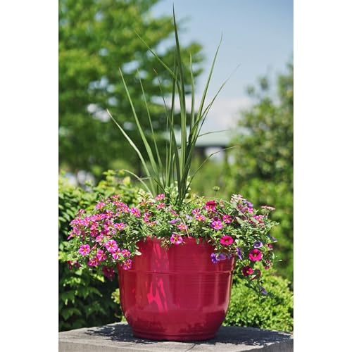 Garden Elements Indoor/Outdoor Glazed Brushed Happy Plastic Planter, Large, Bright Pink, 15" - color: Bright Pink