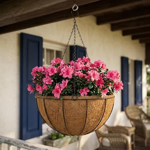 14 Inch Metal Hanging Basket with Coco Coir Liner for Flowers Planting - size: 14" & 2 Pcs