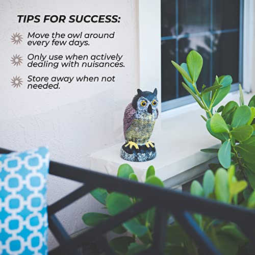 Owl Decoys to Scare Birds Away Plastic Owls Statue for Garden & Outdoors, 3 - style: Asian