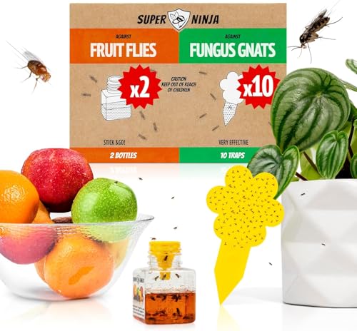 Super Ninja Fruit Fly & Fungus Gnat Traps for House Indoor (2 + 10) - size: 10+2 Pack