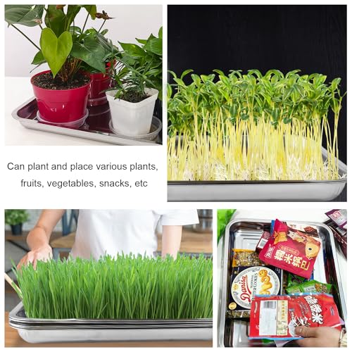 RooTrimmer 5 Pack Large Stainless Steel Seedling Trays, Heavy Duty Metal Water Catch Trays for Nursery Pots-Transplant, Seed Germination & Propagation Flats (17.5 inch×13.56 inch, 1.18" Height) - size: Large-5P