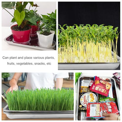 RooTrimmer 5 Pack Large Stainless Steel Seedling Trays, Heavy Duty Metal Water Catch Trays for Nursery Pots-Transplant, Seed Germination & Propagation Flats (17.5 inch×13.56 inch, 1.18" Height) - size: Large-5P