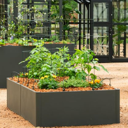 Vego 3-Panel Tomato Cage for Garden & Pots, Rust-Resistant Tomato Stakes Plant Cage Trellis Support for Climbing Vegetables Plants - 14.5" Triangle 3 Pack - size: 14.5 inch
