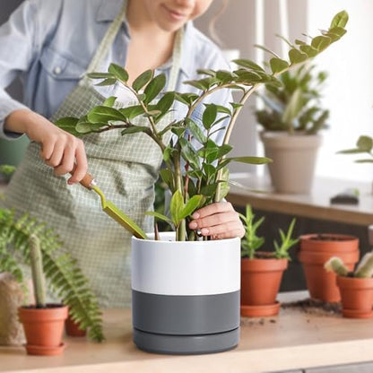 D'vine Dev 2-Pack Ceramic Pots with Saucers, White/Grey, 6.5 in, 94-V-C-6 - color: White/Speckled Grey, size: 6 Inch