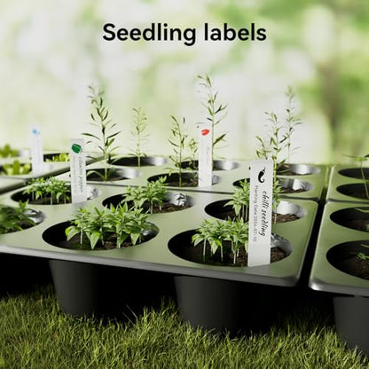 NIIMBOT Plant Label 13×45mm (0.51'' x 1.77''), Only for N1(B18) Label Maker - color: 0.51''×1.77''-clear Gardening