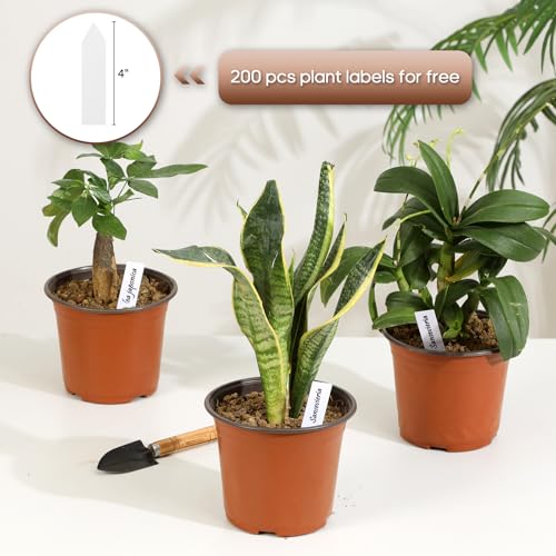 6 Inch 200 Pack Plastic Nursery Pots with Drainage Holes with 200pcs Labels - size: 6inch 200pcs