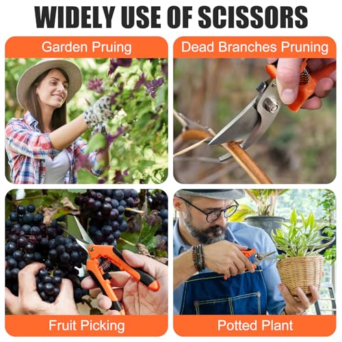 3 Pcs Garden Pruning Shears, Stainless Steel Gardening Scissors